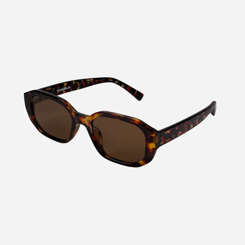 MILO TIGER النظارات